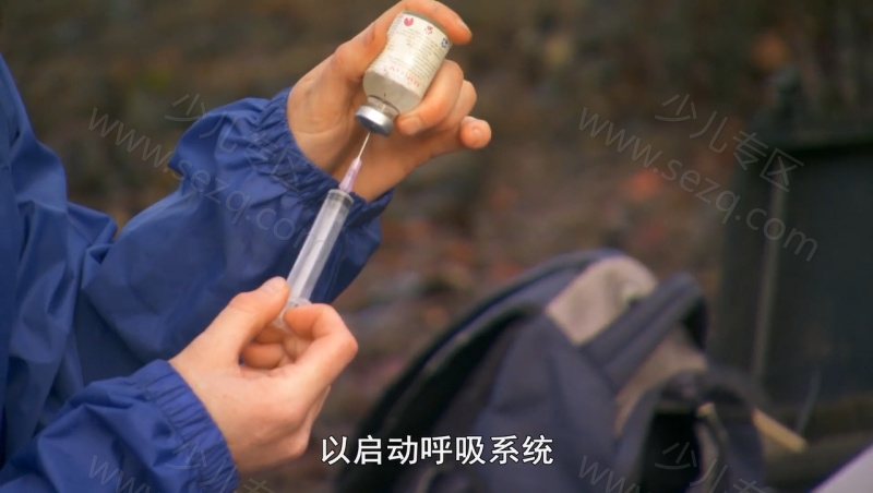 风暴星球的剧照截图2