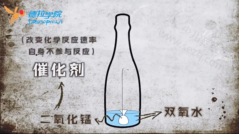 德拉少儿科学实验室的剧照截图2