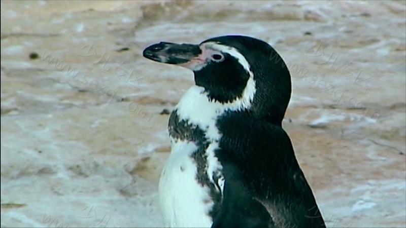 最棒的宝贝的剧照截图3