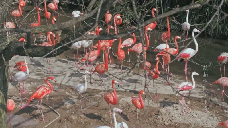 航拍中国的剧照截图6