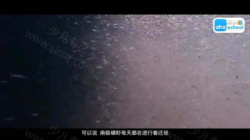 动物大迁徙的剧照截图7