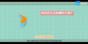 地理科普片《世界地理探秘》全10集 国语中字 960P/MP4/1.58GB 下载