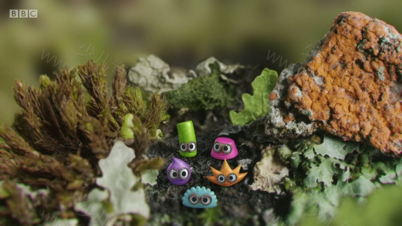 小奇迹的剧照截图1