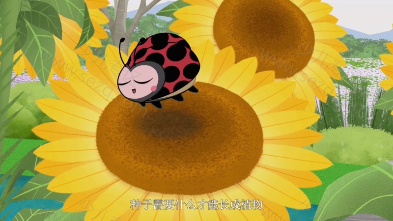 猫头鹰布布 Bubu的剧照截图4