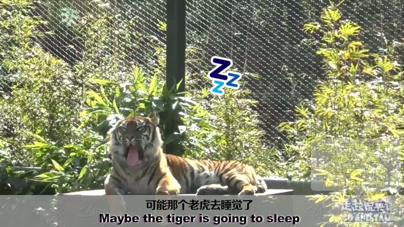 走起说英语的剧照截图3