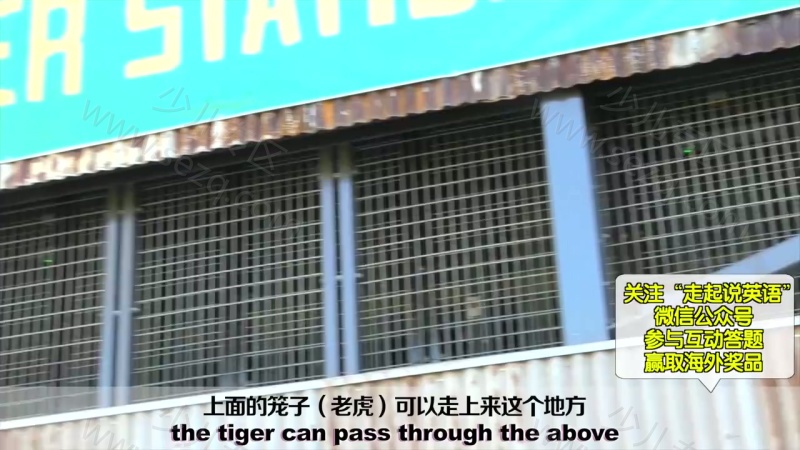 走起说英语的剧照截图2