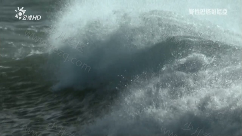 野性巴塔哥尼亚的剧照截图3