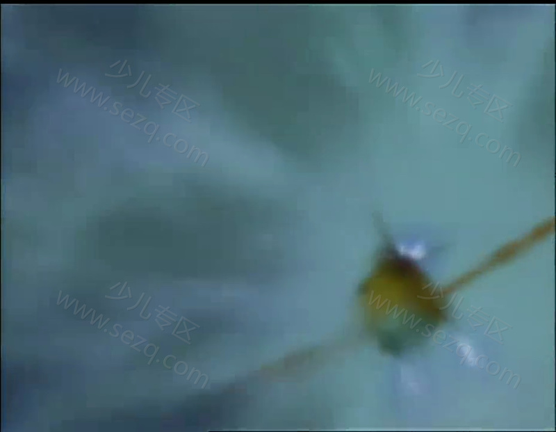 守护精灵的剧照截图5