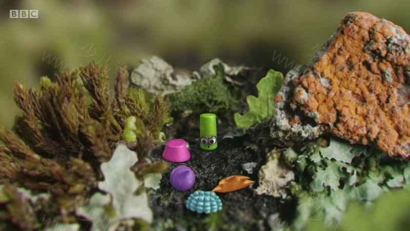 小奇迹的剧照截图2