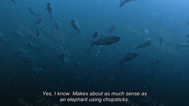 地球生物圈的剧照截图4