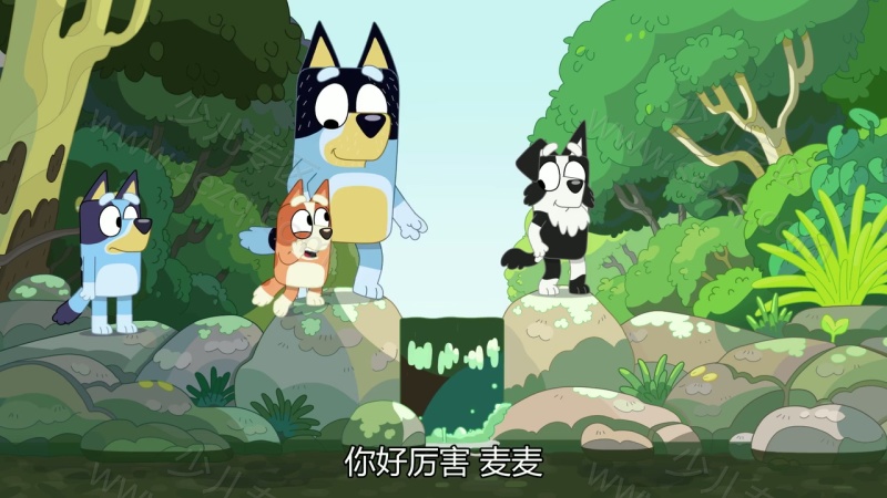 布鲁伊的剧照截图4