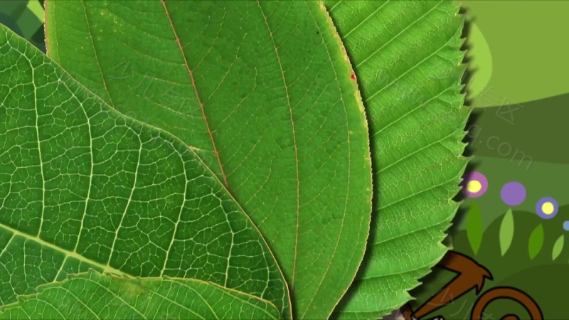 费雪小鱼侦探队的剧照截图2