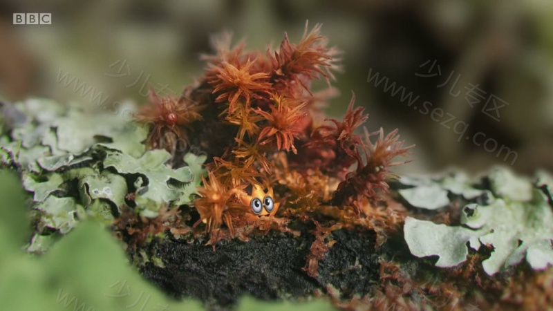 小奇迹的剧照截图5