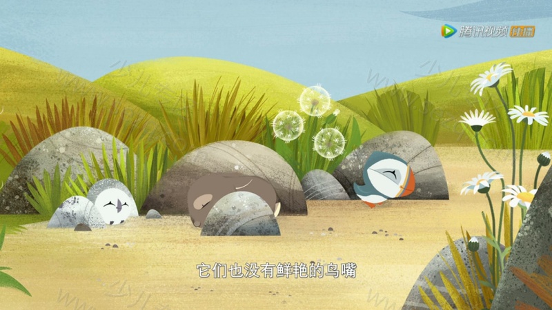 欢乐海鹦岛的剧照截图1