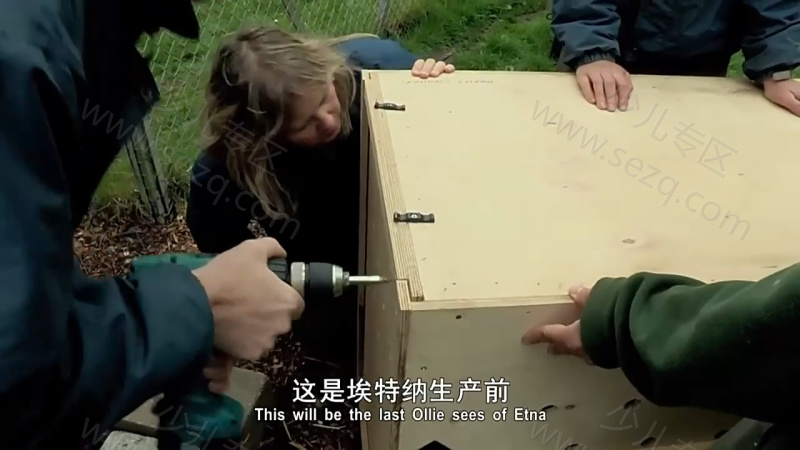动物的母性的剧照截图4