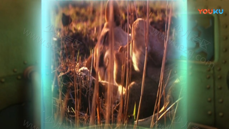 太空娃娃的剧照截图6