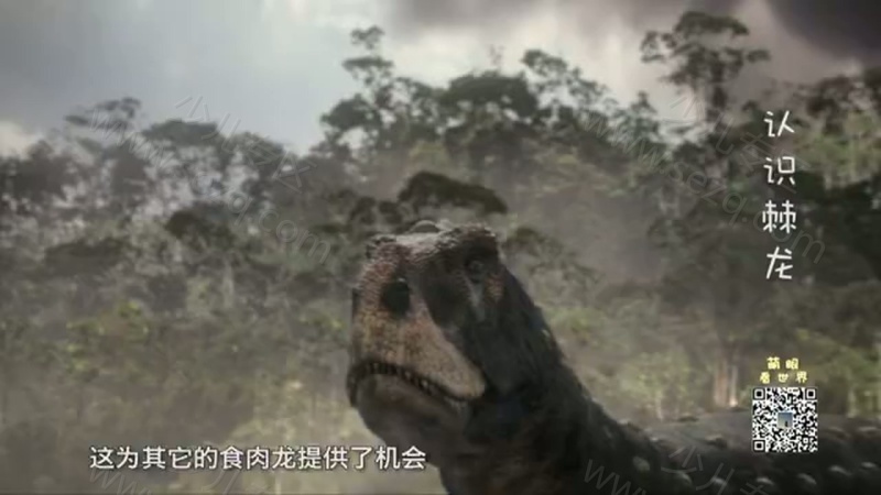 萌眼看世界的剧照截图4