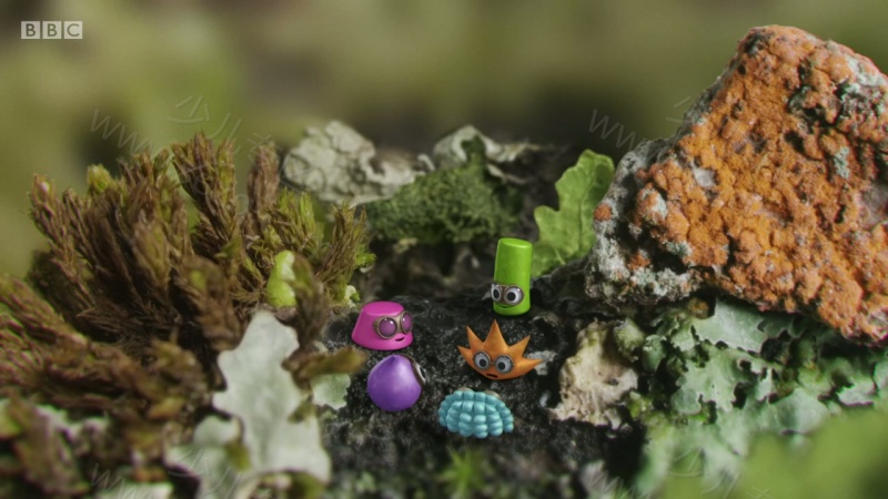 小奇迹的剧照截图3