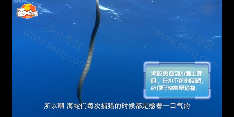 海底世界总动员的剧照截图3