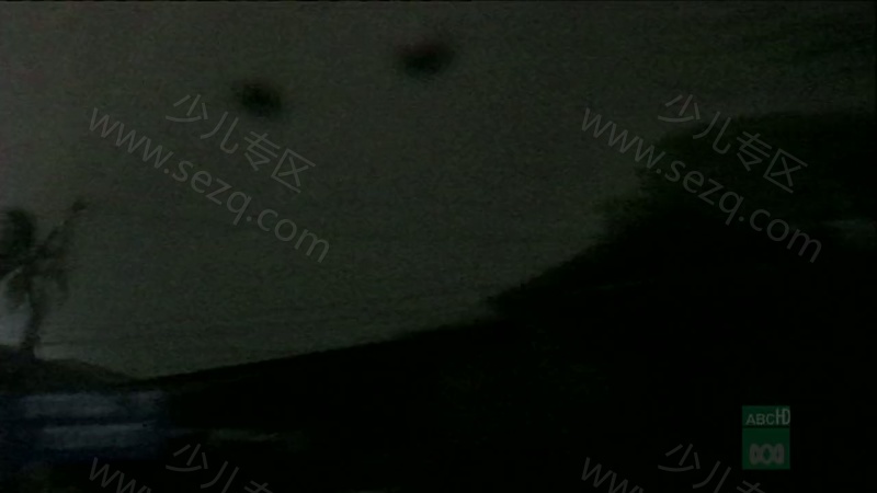 野性加勒比的剧照截图3