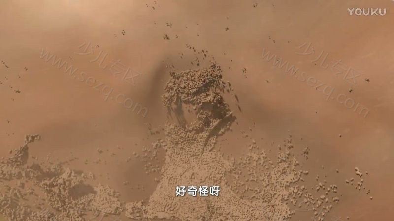 萌鸡小队成长专辑的剧照截图5