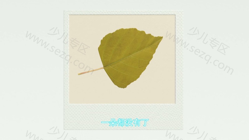 瑞奇宝宝的剧照截图7