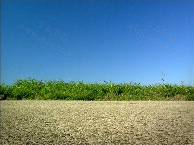 昆虫小世界的剧照截图5