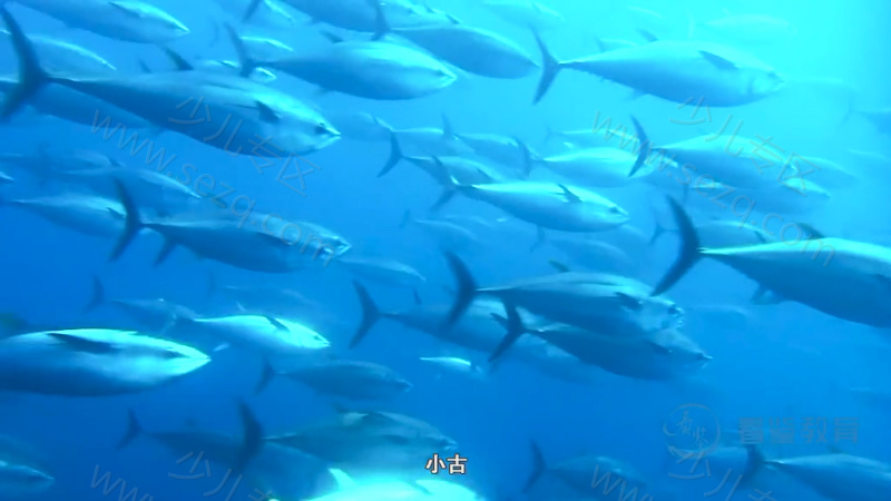 给孩子的地球说明书的剧照截图5