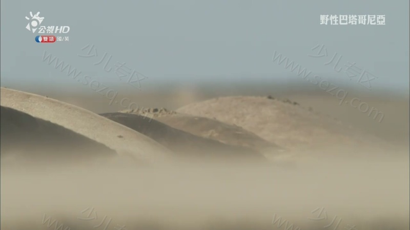 野性巴塔哥尼亚的剧照截图7