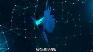 科普纪录片《人类大历史 Big History》第一季全17集 英语中英双字 1080P/MP4/7.27GB 下载