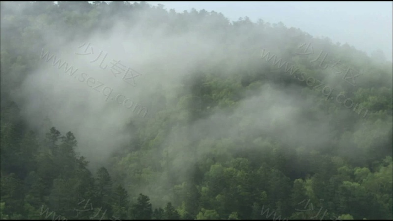 野性俄罗斯的剧照截图4