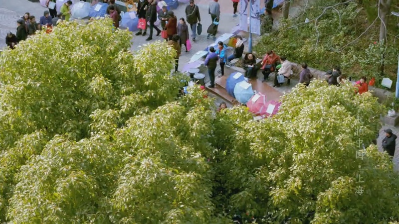 航拍中国的剧照截图5