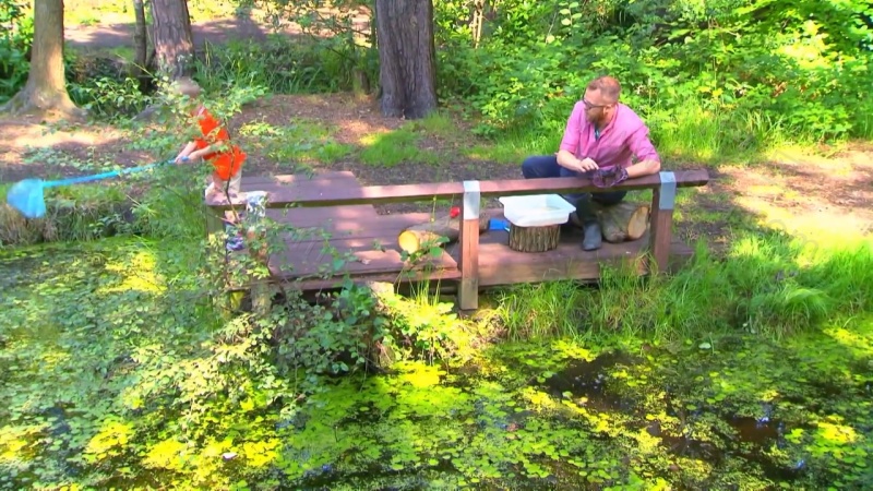 我的宠物和我的剧照截图7