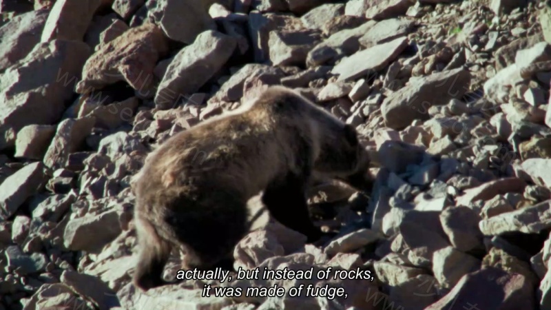 地球生物圈的剧照截图3