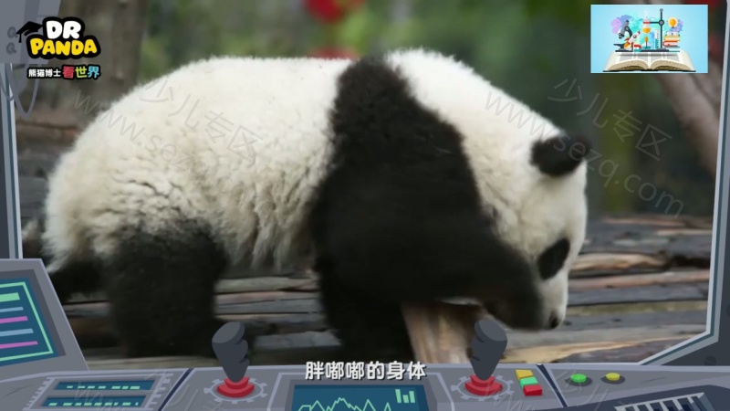 熊猫博士看世界的剧照截图6