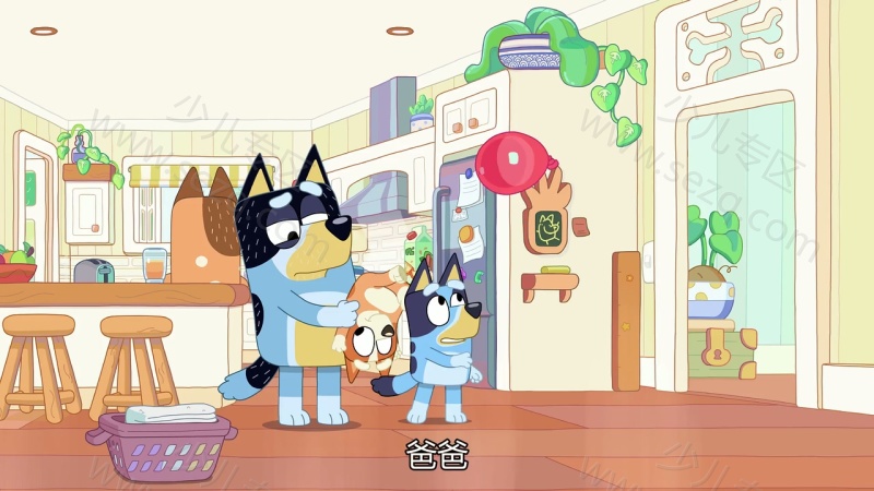 布鲁伊的剧照截图2