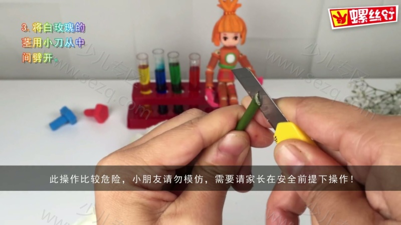 螺丝钉科学小实验的剧照截图1