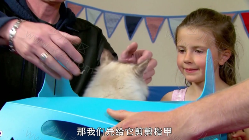 我的宠物和我的剧照截图6