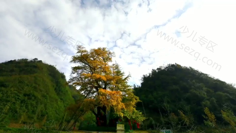 影响世界的中国植物的剧照截图1