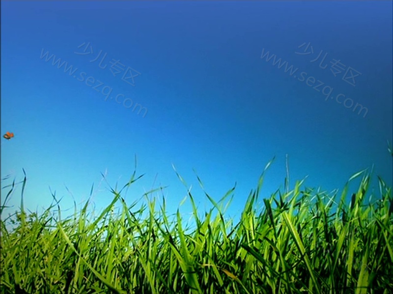 昆虫小世界的剧照截图1