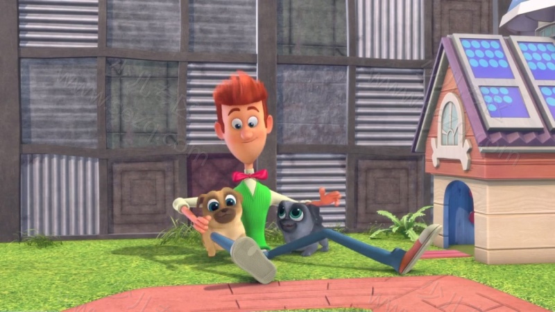 小狗的朋友的剧照截图3