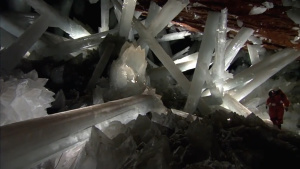 科普纪录片《地球造人 How Earth Made Us》全5集 英语中字 720P/MP4/5.36GB 下载