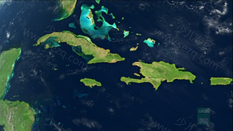 野性加勒比的剧照截图4