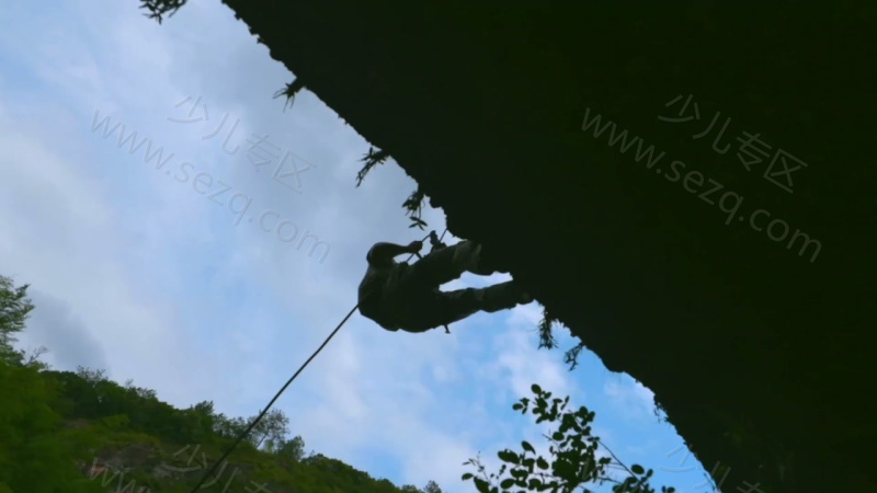 影响世界的中国植物的剧照截图5