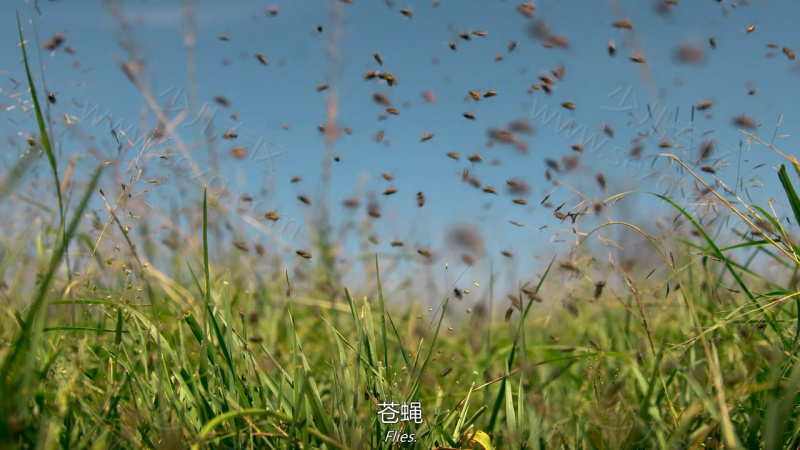 多彩生活的剧照截图3