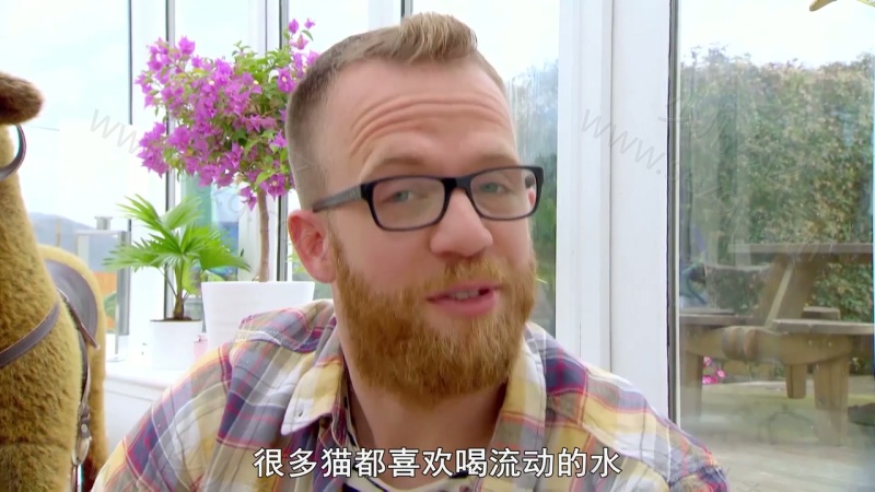我的宠物和我的剧照截图4