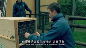 科普纪录片《动物的母性 Animal Maternity》全6集 英语中英双字 1080P/MP4/5.45GB 下载