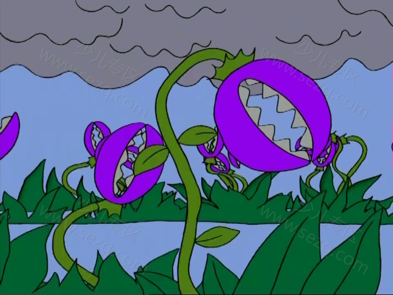 可可、可心一家人的剧照截图5