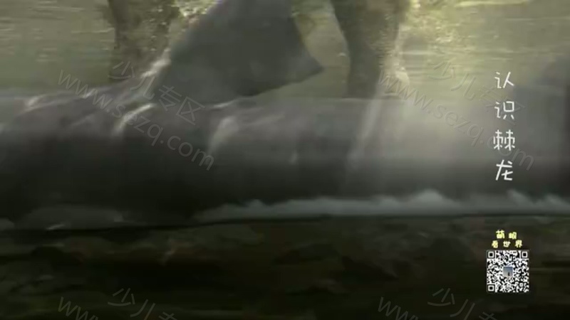 萌眼看世界的剧照截图2