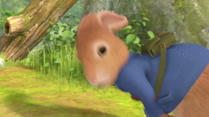 彼得兔的剧照截图4